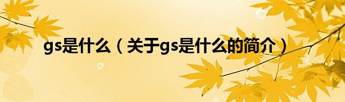 gs是什么（關(guān)于gs是什么的簡(jiǎn)介）