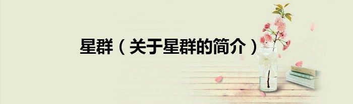 星群（關于星群的簡介）