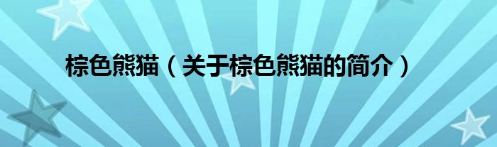 棕色熊貓（關(guān)于棕色熊貓的簡(jiǎn)介）