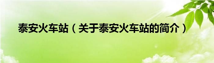 泰安火車站（關(guān)于泰安火車站的簡介）