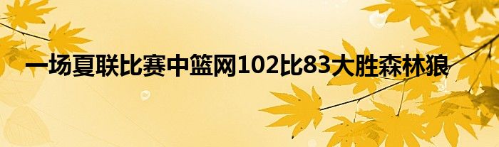 一場夏聯(lián)比賽中籃網(wǎng)102比83大勝森林狼
