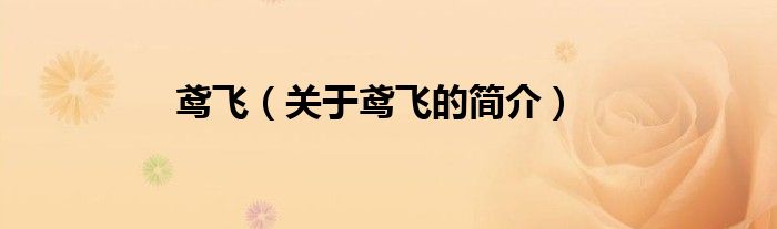 鳶飛（關(guān)于鳶飛的簡介）