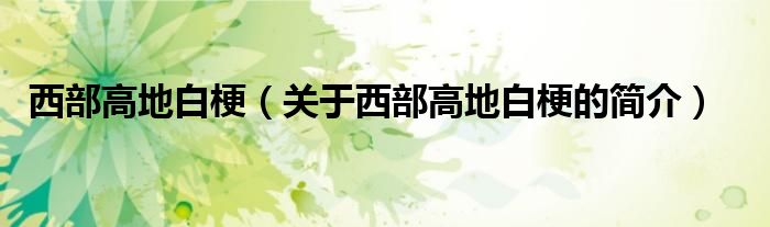 西部高地白梗（關于西部高地白梗的簡介）