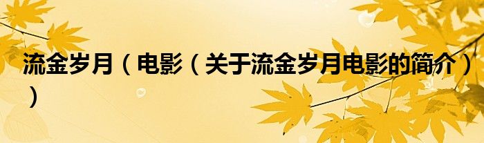流金歲月（電影（關(guān)于流金歲月電影的簡介））