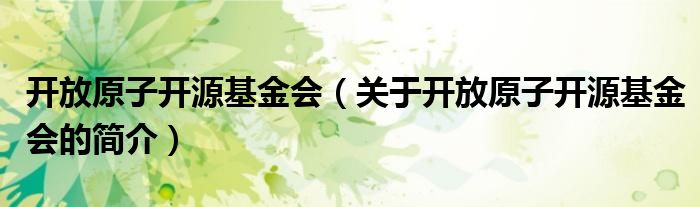 開放原子開源基金會（關(guān)于開放原子開源基金會的簡介）
