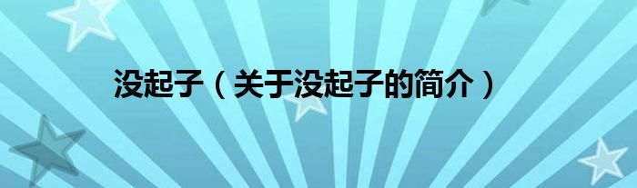 沒起子（關于沒起子的簡介）