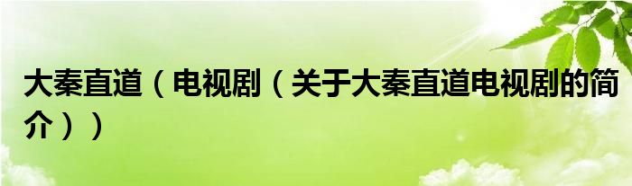 大秦直道（電視劇（關(guān)于大秦直道電視劇的簡(jiǎn)介））