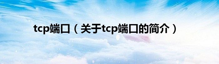 tcp端口（關于tcp端口的簡介）