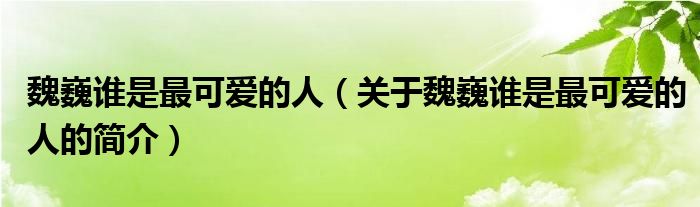 魏巍誰(shuí)是最可愛(ài)的人（關(guān)于魏巍誰(shuí)是最可愛(ài)的人的簡(jiǎn)介）