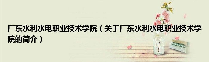 廣東水利水電職業(yè)技術(shù)學院（關(guān)于廣東水利水電職業(yè)技術(shù)學院的簡介）