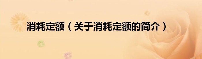 消耗定額（關于消耗定額的簡介）