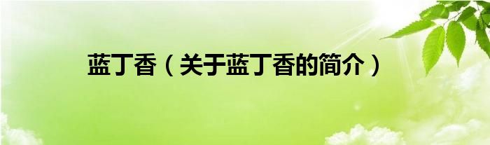 藍(lán)丁香（關(guān)于藍(lán)丁香的簡介）