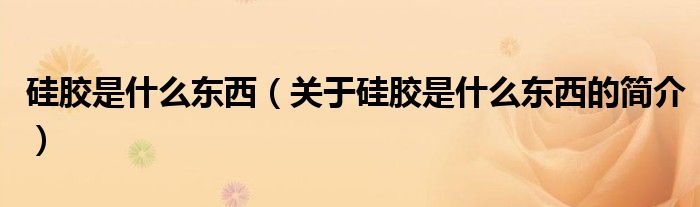 硅膠是什么東西（關(guān)于硅膠是什么東西的簡介）