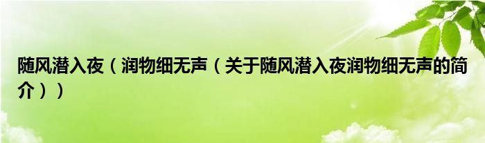 隨風(fēng)潛入夜（潤(rùn)物細(xì)無聲（關(guān)于隨風(fēng)潛入夜?jié)櫸锛?xì)無聲的簡(jiǎn)介））
