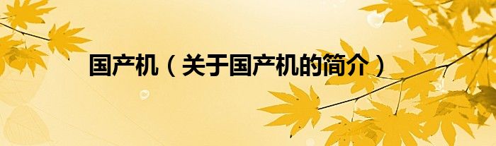 國產(chǎn)機（關于國產(chǎn)機的簡介）