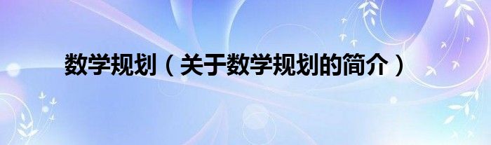 數(shù)學規(guī)劃（關(guān)于數(shù)學規(guī)劃的簡介）