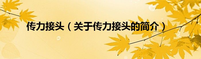 傳力接頭（關(guān)于傳力接頭的簡(jiǎn)介）