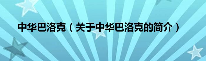 中華巴洛克（關于中華巴洛克的簡介）