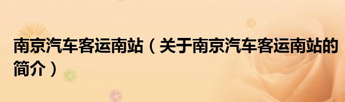 南京汽車客運南站（關于南京汽車客運南站的簡介）