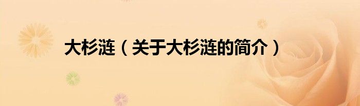 大杉漣（關于大杉漣的簡介）