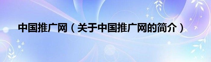 中國推廣網(wǎng)（關于中國推廣網(wǎng)的簡介）