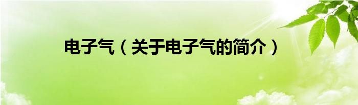 電子氣（關(guān)于電子氣的簡介）