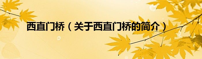 西直門橋（關于西直門橋的簡介）