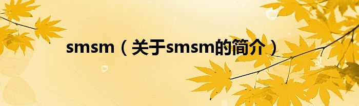 smsm（關于smsm的簡介）