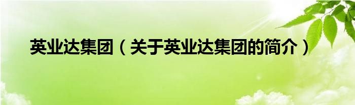 英業(yè)達集團（關(guān)于英業(yè)達集團的簡介）