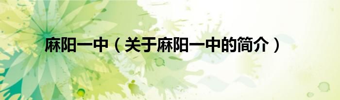 麻陽一中（關于麻陽一中的簡介）