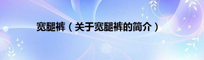 寬腿褲（關于寬腿褲的簡介）