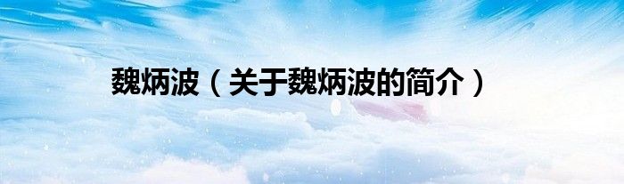 魏炳波（關(guān)于魏炳波的簡介）