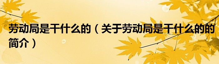 勞動局是干什么的（關于勞動局是干什么的的簡介）