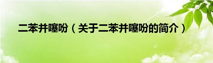 二苯并噻吩（關(guān)于二苯并噻吩的簡介）