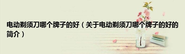 電動剃須刀哪個牌子的好（關于電動剃須刀哪個牌子的好的簡介）