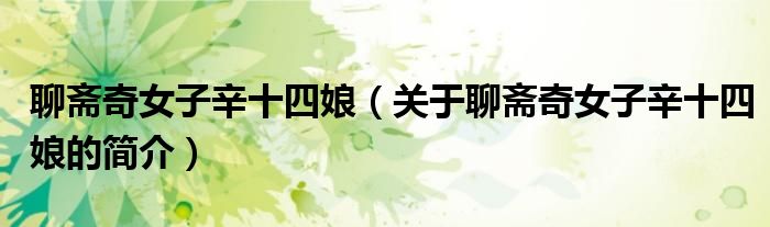 聊齋奇女子辛十四娘（關(guān)于聊齋奇女子辛十四娘的簡介）