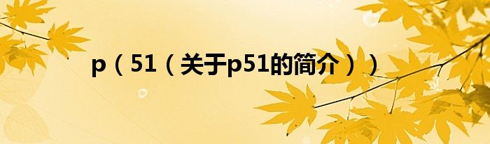 p（51（關(guān)于p51的簡(jiǎn)介））
