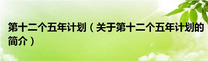 第十二個五年計(jì)劃（關(guān)于第十二個五年計(jì)劃的簡介）