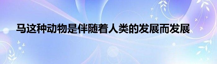 馬這種動物是伴隨著人類的發(fā)展而發(fā)展