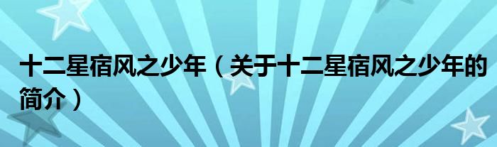 十二星宿風之少年（關于十二星宿風之少年的簡介）