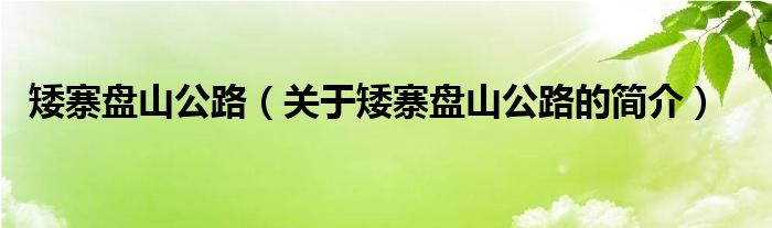 矮寨盤山公路（關(guān)于矮寨盤山公路的簡(jiǎn)介）