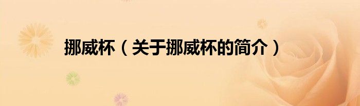 挪威杯（關(guān)于挪威杯的簡(jiǎn)介）