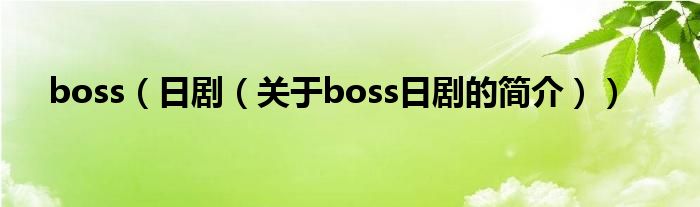 boss（日?。P(guān)于boss日劇的簡介））