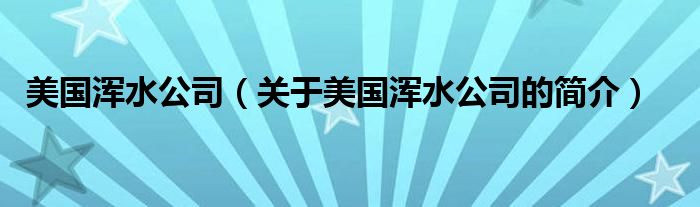 美國渾水公司（關(guān)于美國渾水公司的簡介）