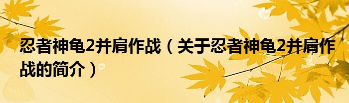 忍者神龜2并肩作戰(zhàn)（關于忍者神龜2并肩作戰(zhàn)的簡介）