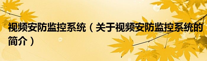 視頻安防監(jiān)控系統(tǒng)（關(guān)于視頻安防監(jiān)控系統(tǒng)的簡介）