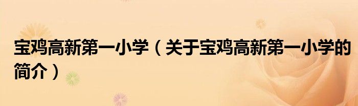 寶雞高新第一小學（關于寶雞高新第一小學的簡介）