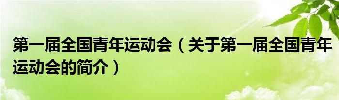 第一屆全國青年運動會（關于第一屆全國青年運動會的簡介）