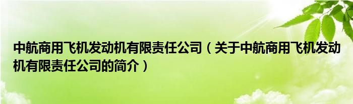 中航商用飛機發(fā)動機有限責任公司（關于中航商用飛機發(fā)動機有限責任公司的簡介）