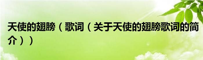 天使的翅膀（歌詞（關(guān)于天使的翅膀歌詞的簡(jiǎn)介））